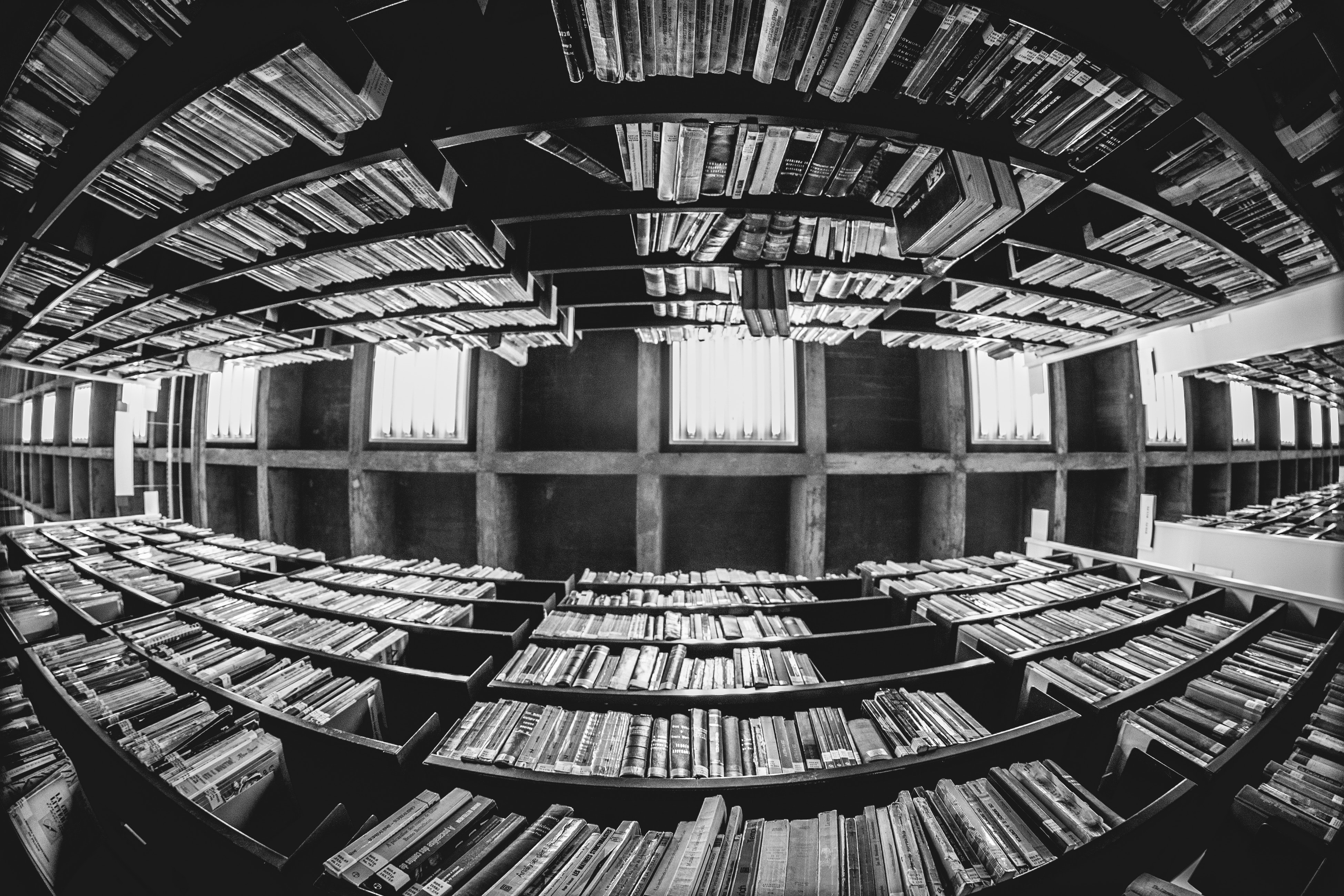 Knowledge is all around us…   photo by Luis Tosta on Unsplash